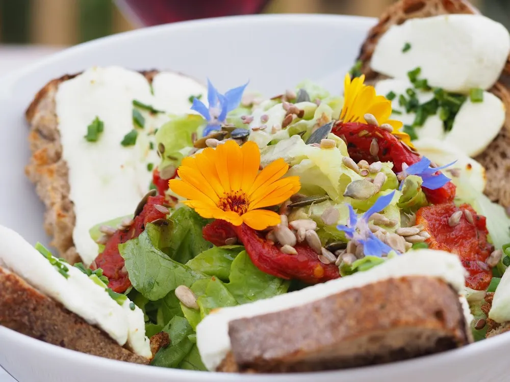 Chèvre Chaud Avec Sa Salade